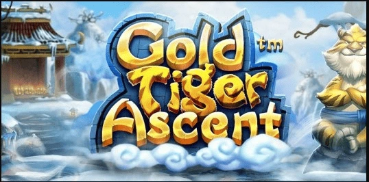 gold tiger ascent